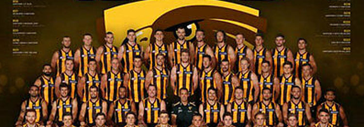 Searching for AFL Posters Online?