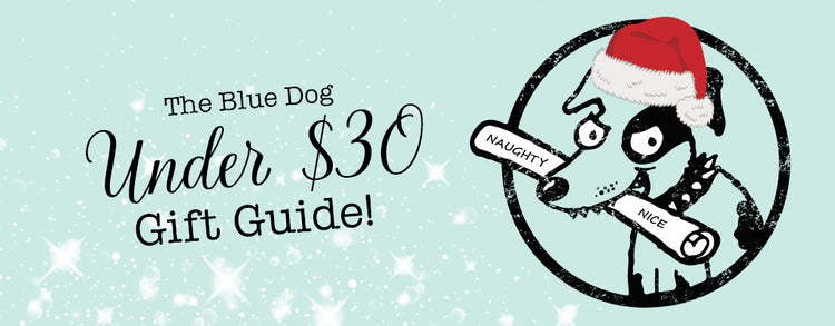 Great Gifts for Under $30