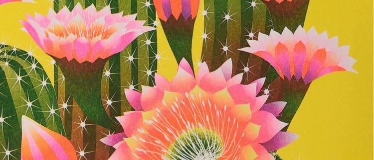Risographs and Screen Prints