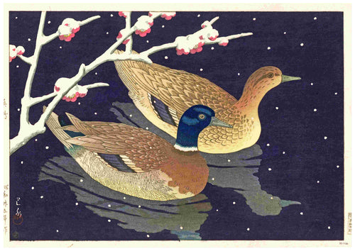 ‘Mallard Ducks by Hasui’ features two ducks in dark water amid falling snow and pink blossoms, creating a serene winter scene. Available as an A3 satin paper poster from Brand Name.