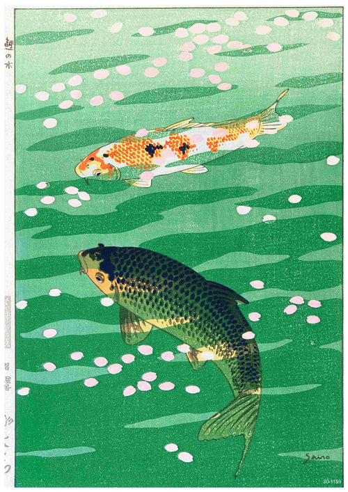 Two koi carp with orange and black markings swim among pink and white petals in lush green water, evoking a calm, traditional Japanese style. "Koi Carp by Shiro Kasamatsu" by A3 makes an elegant satin paper art poster.