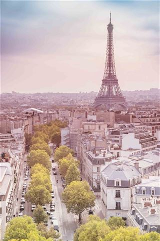 A scenic view of Paris with the Eiffel Tower prominently visible in the background. The foreground shows a tree-lined street with neatly arranged buildings on both sides. The sky is softly lit with pastel hues, giving a serene ambiance to this cityscape poster from our Scenic Collection, "Paris - Summer" by NAT 043.
