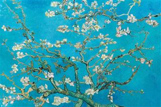 Van Gogh's "Almond Blossom," by ART 088, is a vibrant painting printed on Premium Gloss Paper. It depicts blossoming almond branches against a bright blue sky. The branches, adorned with delicate white and pink flowers, twist and stretch across the canvas, creating a dynamic and serene composition—perfect for Art & Decor enthusiasts seeking a classic art poster.