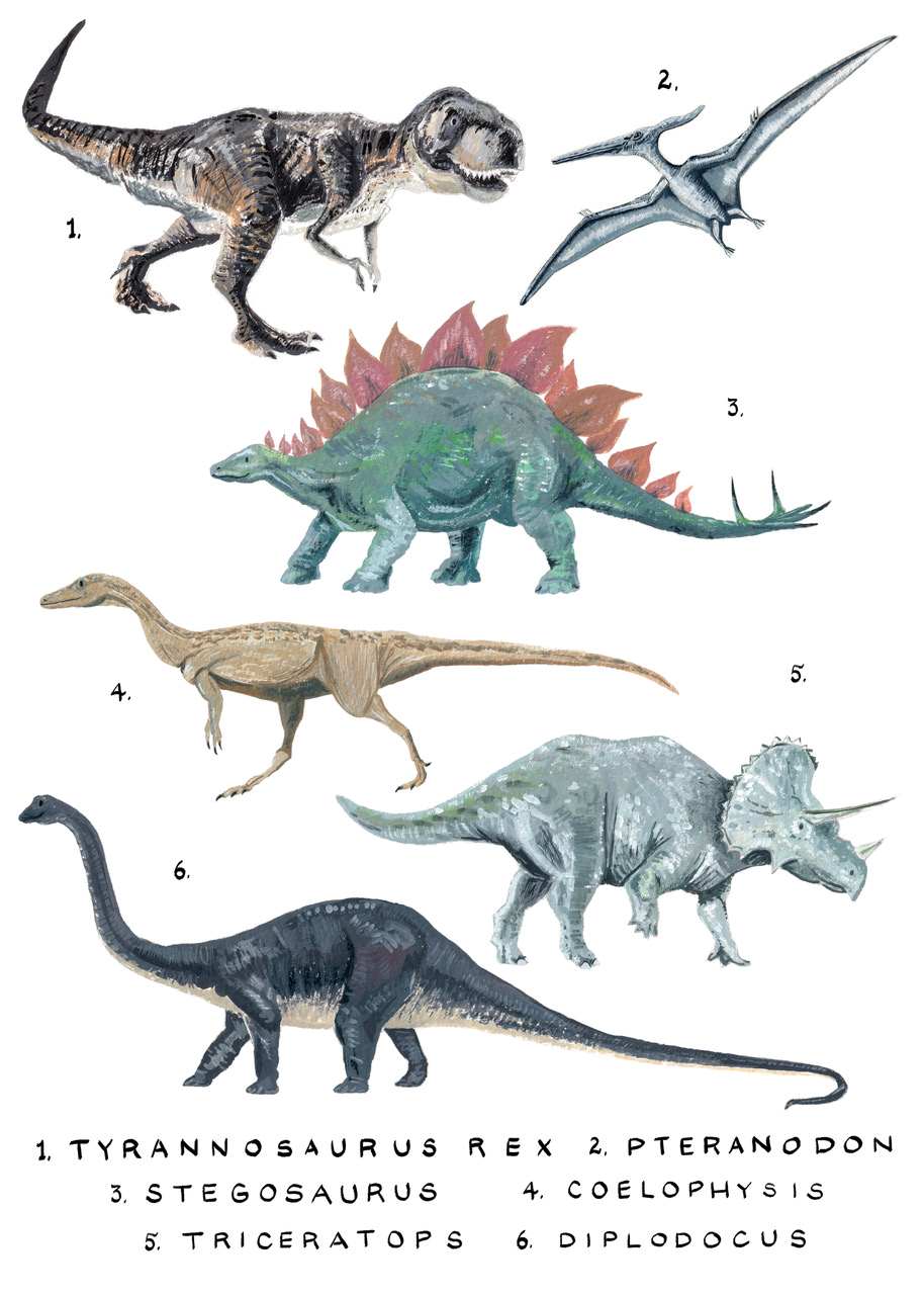 Illustration of six dinosaurs labeled with numbers and names: 1. Tyrannosaurus Rex, 2. Pteranodon, 3. Stegosaurus, 4. Coelophysis, 5. Triceratops, 6. Diplodocus. The dinosaurs are depicted in various colors and poses, making the "Dinosaurs Study Numbered by Simone Hale A5" from fap perfect for adding to your Little Art series in Deluxe.