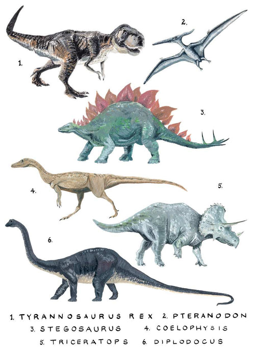 Illustration of six dinosaurs labeled with numbers and names: 1. Tyrannosaurus Rex, 2. Pteranodon, 3. Stegosaurus, 4. Coelophysis, 5. Triceratops, 6. Diplodocus. The dinosaurs are depicted in various colors and poses, making the "Dinosaurs Study Numbered by Simone Hale A5" from fap perfect for adding to your Little Art series in Deluxe.