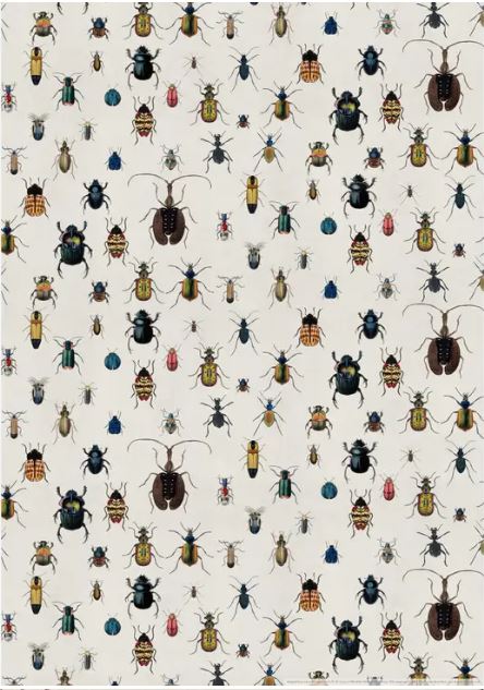 The Bugs Poster Wrap from Blue Dog Posters showcases a vibrant sheet of decorative paper adorned with an intricate pattern of colorful insects, including beetles, spiders, and various other bugs set against a light background. These detailed illustrations vary in size, shape, and color, making it an ideal choice for gift wrapping.