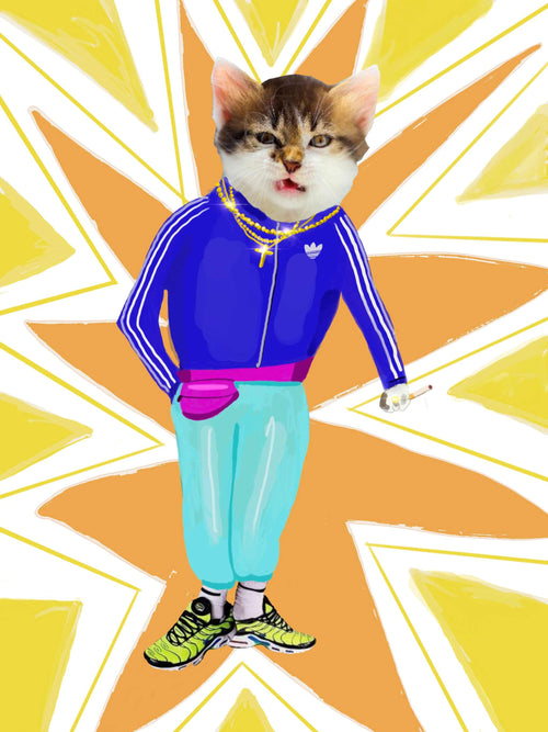 Chav Cat by Itchy Grandpa A5 is a whimsical illustration of a cat with a humanoid body, perfect for the Little Art series. The cat wears a blue athletic jacket, turquoise pants, pink fanny pack, and neon sneakers set against a vibrant starburst background. With a slightly sassy expression and holding a cigarette, it's ideal for Deluxe Postcard Frames.