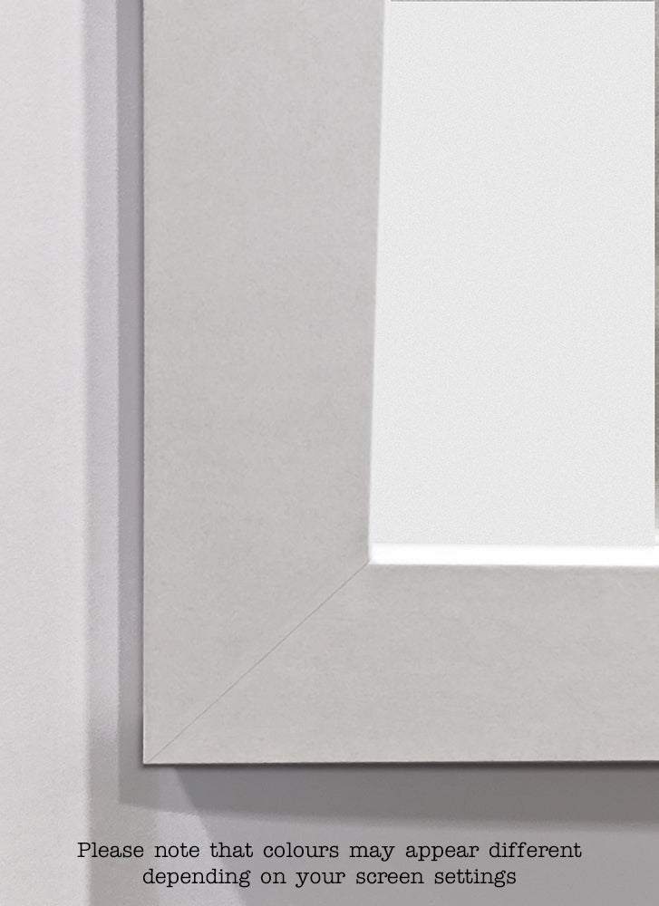 A close-up of a light grey Classic Frame 60x80cm White with a white border inside. Text at the bottom reads, "Please note that colours may appear different depending on your screen settings. (Blue Dog Posters)