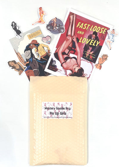 An open Mystery Goodie Bag - Pin Up Girls by Blue Dog Posters shows vintage pin-up girl art stickers and postcards, including one titled "Fast, Loose and Lovely," spilling onto a white background.