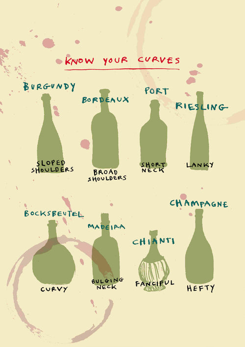 Know Your Curves by Poet & Painter, brought to you by the fap brand, is a guide that highlights various wine bottle shapes in an art print. The Digital Laser Printing illustrations feature bottles including Burgundy, Bordeaux, Port, Riesling, Bocksbeutel, Madeira, Chianti, and Champagne. Each bottle is labeled with descriptors such as 'Sloped Shoulders,' 'Broad Shoulders,' and 'Short Neck.'