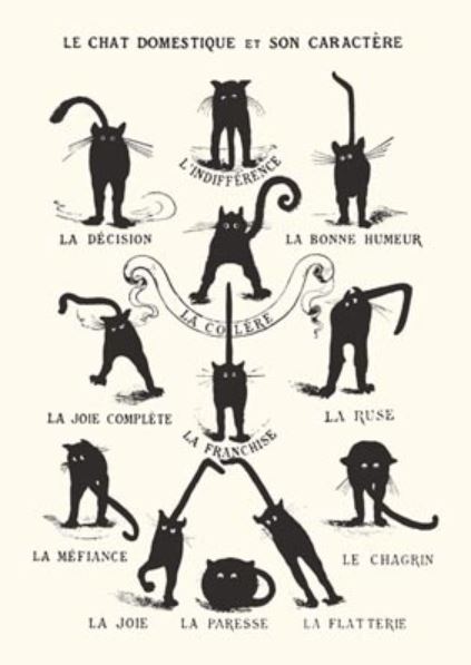 The "Le Chat Domestique" poster by ART 102 showcases nine black cats in unique poses, elegantly reproduced on premium gloss paper—a large, charming collectible for any cat lover or poster enthusiast.