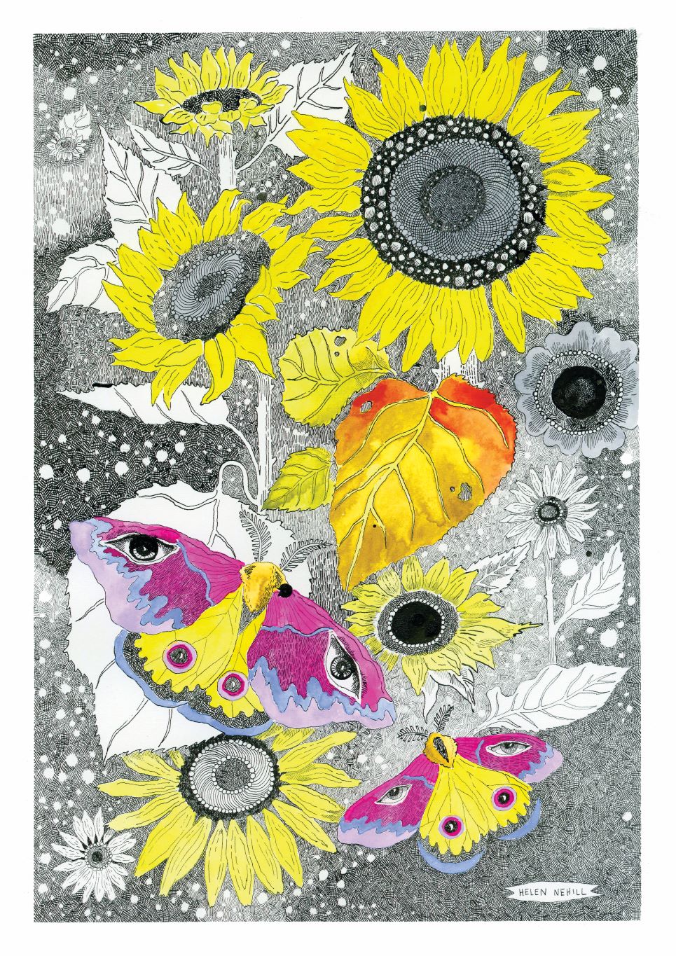 The "Moths and Sunflowers by Helen Nehill A5" from Blue Dog Posters features vibrant sunflowers with yellow petals on a grayscale background, accented by colorful moths with pink, yellow, and orange wings.
