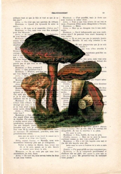 An illustration of four mushrooms is overlaid on a page of text from a French book. The mushrooms are of various shapes and sizes, with some having prominent red caps. The text is printed in black ink, with the mushroom illustration prominently featured in the center. This captivating artwork is titled "Antique Book Print 15x21cm Mushrooms1" and is offered by Blue Dog Posters.