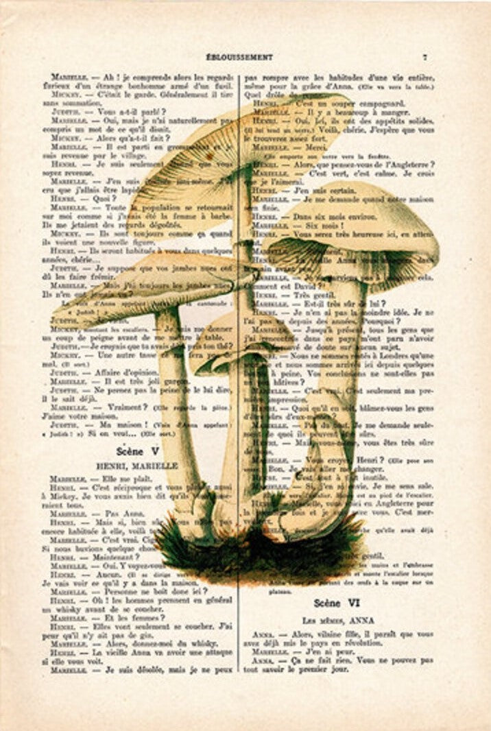 The Antique Book Print 15x21cm Mushrooms6 by Blue Dog Posters features a detailed illustration of mushrooms, superimposed over the text. The page contains French dialogue in a play-like format with headings such as "Scène V" and character names, and is slightly yellowed with age.