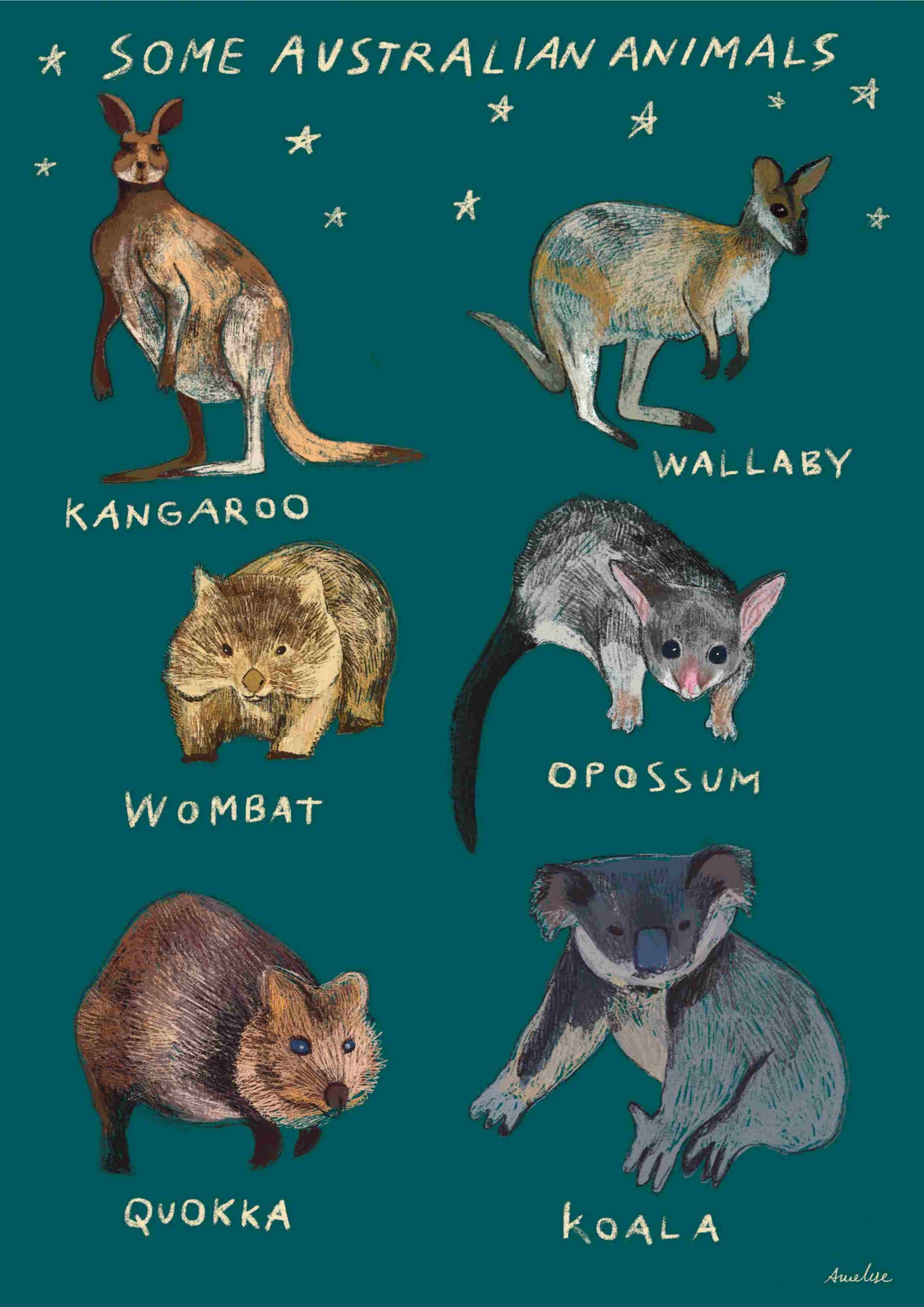 The "Native Aussie Animals by Annalisa Biancardi" illustration from Blue Dog Posters, displays a kangaroo, wallaby, wombat, opossum, quokka, and koala with names below each on a starry green background.