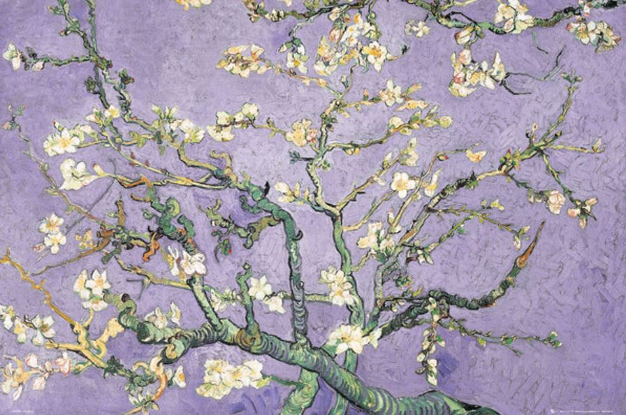 Almond Blossom Lilac by ART 107 features almond tree branches with white blossoms on a textured lilac background. Printed on premium gloss paper, this art poster highlights dark green branches and soft pastel tones.