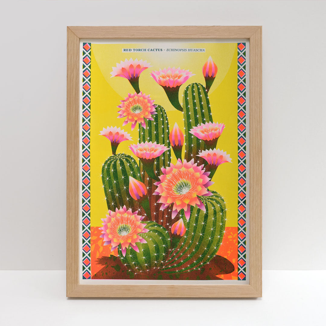 Introducing the "Cactus Riso Print by Printer Johnson" from Blue Dog Posters. This framed artwork showcases red torch cacti adorned with vibrant pink flowers set against a striking yellow background, complemented by a border featuring a colorful geometric pattern. It is printed as a Risograph using eco-friendly soy-based inks on FSC-certified paper, with the botanical name "Echinopsis huascha" elegantly displayed at the top.