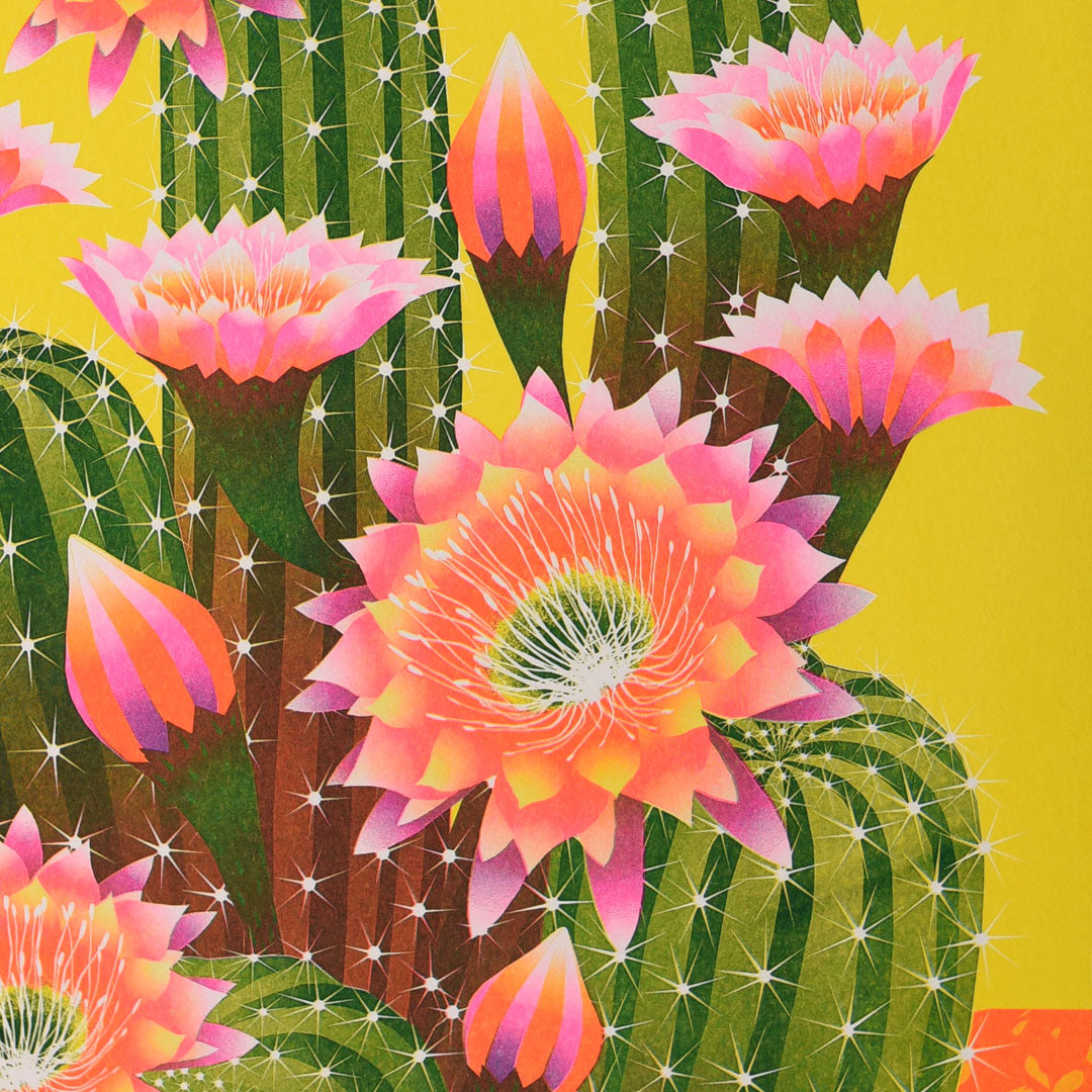 The "Cactus Riso Print" by Printer Johnson, available from Blue Dog Posters, features tall green cacti adorned with vibrant pink flowers and buds set against a bright yellow background. This eco-friendly print uses soy-based inks to create stunning gradients of pink and white petals atop spiky green stems on FSC certified paper.