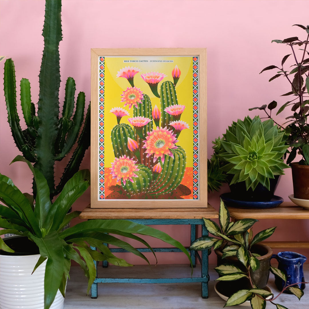 A vibrant botanical-themed room adorned with potted plants and a framed "Cactus Riso Print by Printer Johnson" from Blue Dog Posters features pink flowers on green cacti set against a yellow background, surrounded by a colorful border. Crafted using eco-friendly soy-based inks, this art piece perfectly complements the pink-painted wall.