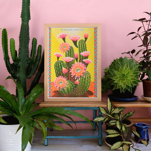 A vibrant botanical-themed room adorned with potted plants and a framed "Cactus Riso Print by Printer Johnson" from Blue Dog Posters features pink flowers on green cacti set against a yellow background, surrounded by a colorful border. Crafted using eco-friendly soy-based inks, this art piece perfectly complements the pink-painted wall.
