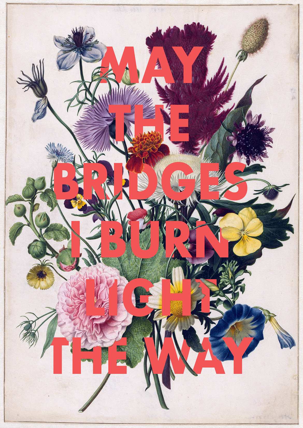 A vintage botanical illustration adorned with colorful flowers and the bold red text "May the bridges I burn light the way," beautifully presented as part of our Deluxe Postcard Frames collection, The Bridges I Burn by The Quote House A5 from fap.