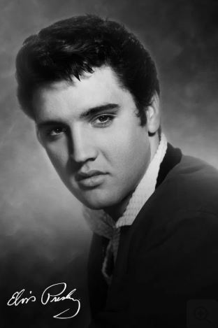 A black and white portrait of a young man with dark hair, wearing a collared shirt and sweater, gazes to the side. "Elvis - The King" by MUS 168 is signed in the corner—perfect for rock poster collectors and music fans alike.