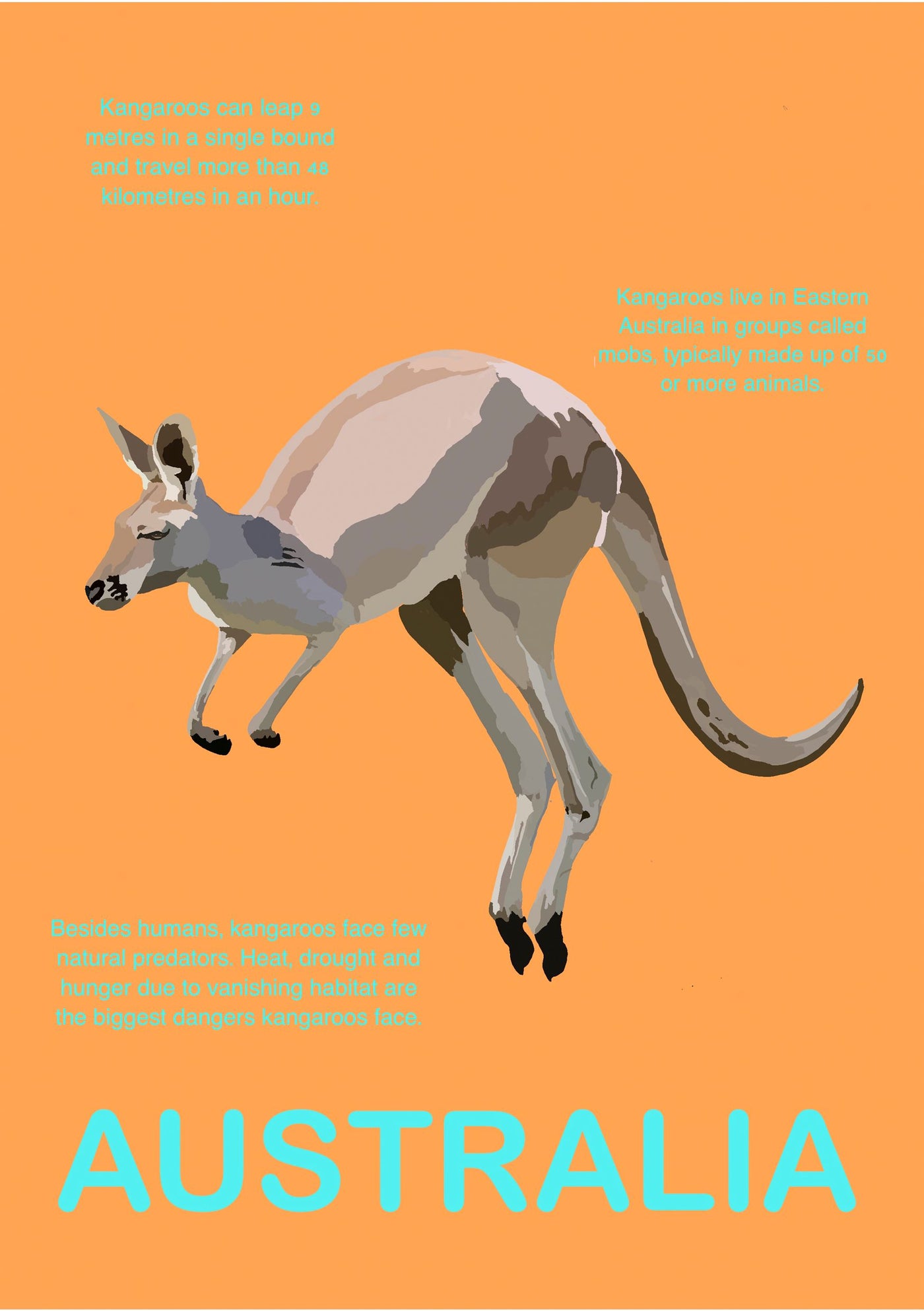 The Australia Kangaroo A5 by A5 features an illustration of a kangaroo on an orange background, accompanied by facts about kangaroos: they can leap 9 meters and travel a kilometer in an hour; they live in mobs in Eastern Australia and face threats from predators, heat, drought, and habitat loss. The word "AUSTRALIA" is prominently displayed at the bottom in large light blue text.