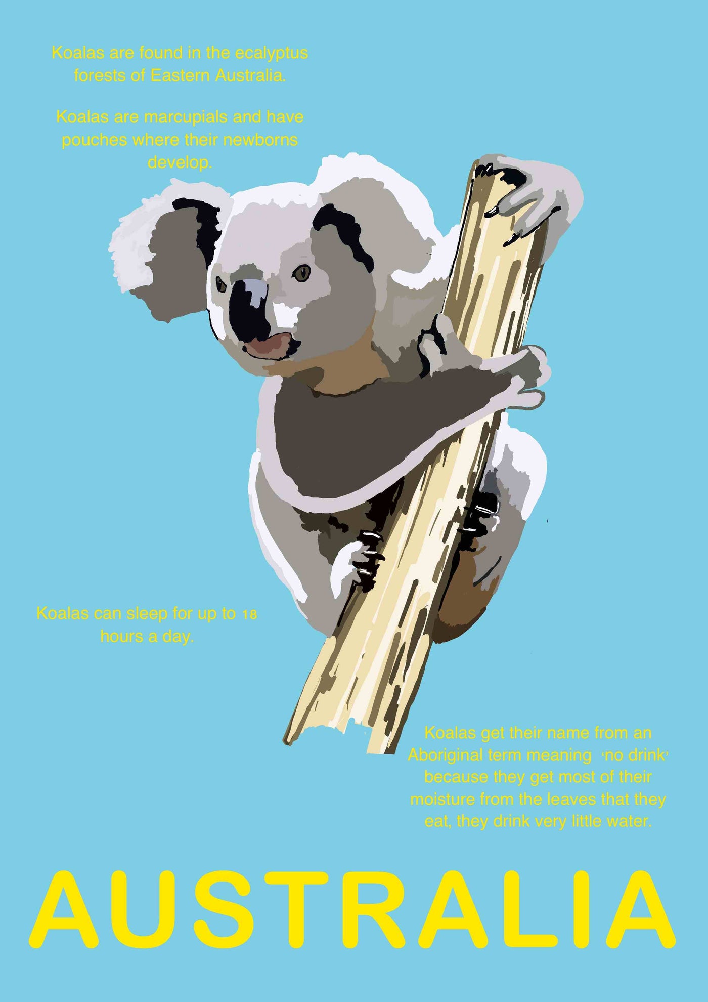 The Australia Koala A5 digital poster by A5 depicts a koala clinging to a tree branch against a blue background. Surrounding the koala are text highlights detailing koala facts including their habitat in Eastern Australia, sleeping habits, and the origin of their name. The word "AUSTRALIA" is prominently displayed at the bottom.
