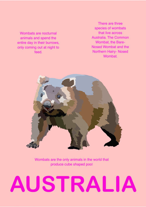Description of the Australia Wombat A5: An illustration of a wombat on a pink background with facts about wombats written in purple text around it. The text highlights species of wombats, their nocturnal nature, and unique cube-shaped poop. Bold and centered at the bottom is the word "AUSTRALIA.