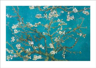 The "Van Gogh Almond Blossom 50x70" by MEZ 121 features a stunning depiction of a blossoming almond tree branch set against a vibrant turquoise background. Adorned with delicate white and pink flowers, this artwork perfectly captures the essence of spring. Part of our Large Decor Series, it showcases intricate details on premium quality art paper.