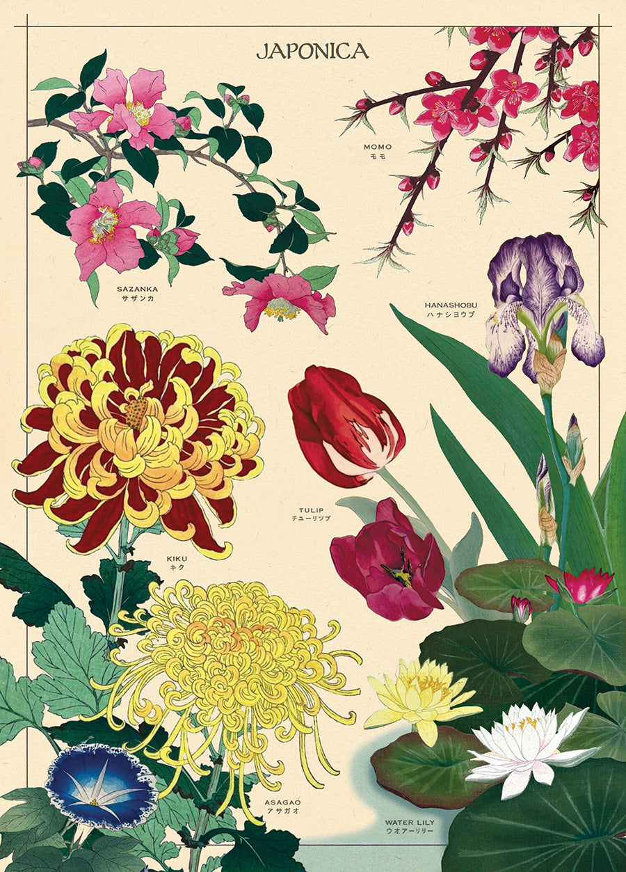 A vibrant poster wrap by Blue Dog Posters, titled "Japonica Poster Wrap," showcases an array of Japanese flowers, including sakura, camellias, chrysanthemums, tulip, iris, morning glory, and water lily. Each floral illustration is labeled with both English and Japanese names.
