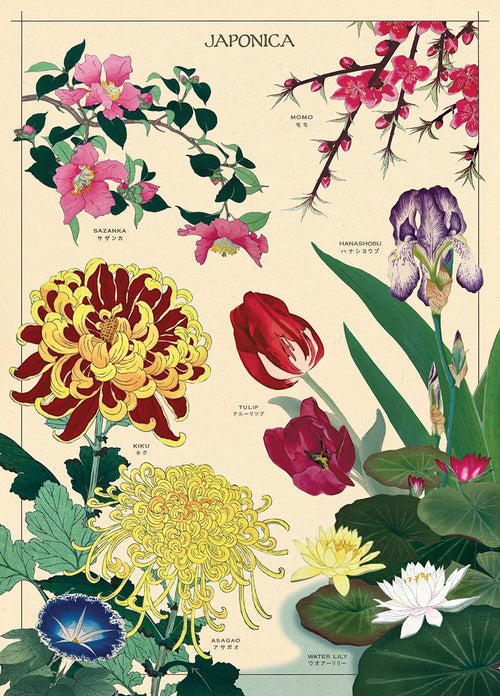 A vibrant poster wrap by Blue Dog Posters, titled "Japonica Poster Wrap," showcases an array of Japanese flowers, including sakura, camellias, chrysanthemums, tulip, iris, morning glory, and water lily. Each floral illustration is labeled with both English and Japanese names.