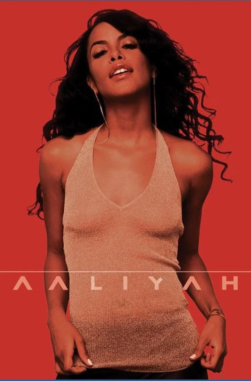 A woman with long wavy hair in a sleeveless beige halter top poses confidently against a red backdrop in this striking MUS 197 R&B poster, featuring the product name "Aaliyah" at the bottom.