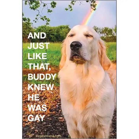 The Just Like That Buddy Knew Magnet by Blue Dog Posters features a golden retriever with a rainbow on its head and the text: "AND JUST LIKE THAT, BUDDY KNEW HE WAS GAY." A funny animal lover gift or quirky fridge magnet.