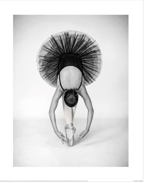In "Pauline Pentony (Ballet Technique)" by GAL211, a ballet dancer in a tutu elegantly bends forward en pointe, highlighted against a plain backdrop. This black and white photographic print is crafted on premium quality matte art paper.