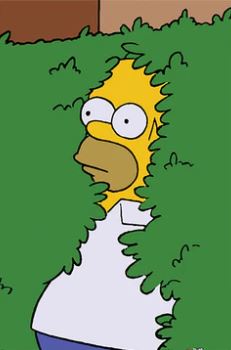 Homer - Bush by MTV 337: Features Homer with yellow skin and a white shirt backing into green bushes with a surprised look—ideal for any Cult TV or premium gloss poster display.