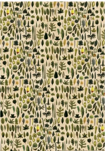 This detailed pattern of various green, brown, and yellow leaves, seeds, and botanical elements is set against a beige background. The repetitive design on acid-free paper features ferns, pinecones, and assorted leaves—perfect as decorative gift wrap. Introducing the Leaves Poster Wrap by Blue Dog Posters.
