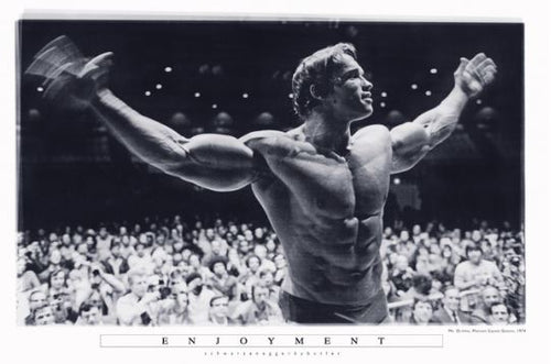 An image titled "Arnold Swarzenegger - Mr Olympia" from the MTV 119 collection features a black and white photo of a muscular bodybuilder showcasing his physique with outstretched arms on stage. The background reveals an audience applauding, with "ENJOYMENT" printed at the bottom.