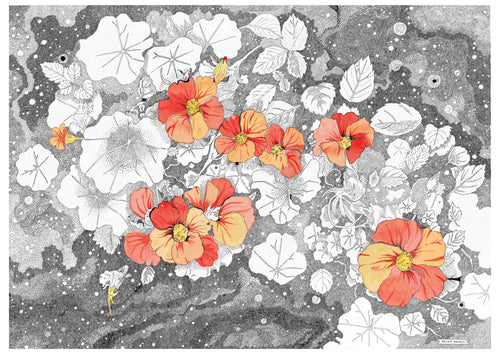 The art print "Nasturtium" by Helen Nehill Art from Blue Dog Posters showcases vibrant orange and yellow flowers with detailed, shaded leaves set against a monochromatic speckled backdrop. Created on high-quality paper by an Australian artist, the print features some uncolored leaves and flowers, strikingly contrasting the colorful and grayscale elements.