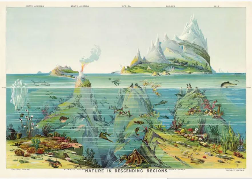 An illustrated cross-section of various oceanic and land regions, labeled by continents. The ocean layers depict diverse marine life and above-water activities, while the landmasses highlight mountains and volcanoes. Printed on fine Italian decorative paper, it's titled "Nature in Descending Regions." This exquisite piece is brought to you by Blue Dog Posters as the Nature in Descending Regions Poster Wrap.