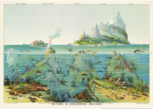 An illustrated cross-section of various oceanic and land regions, labeled by continents. The ocean layers depict diverse marine life and above-water activities, while the landmasses highlight mountains and volcanoes. Printed on fine Italian decorative paper, it's titled "Nature in Descending Regions." This exquisite piece is brought to you by Blue Dog Posters as the Nature in Descending Regions Poster Wrap.