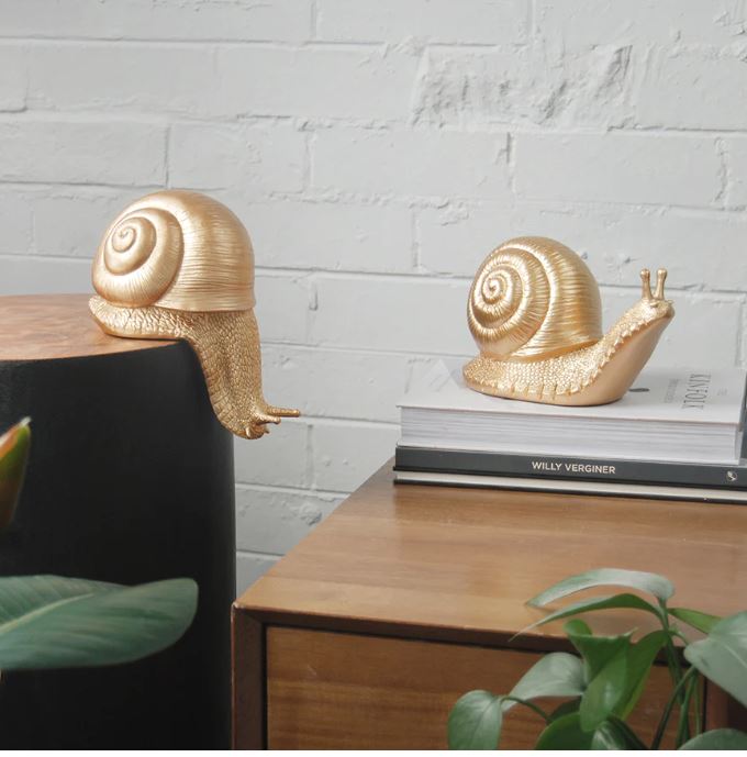Two Shelf Snail - Gold resin ornaments from Blue Dog Posters are displayed indoors against a light brick wall. One friendly snail is perched on the edge of a dark cylindrical pedestal, while the other is placed on top of a stack of books on a wooden side table. Green plant leaves are partially visible, enhancing the home décor charm.