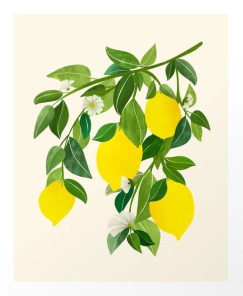 Summer Lemons by Modern Tropical from GAL140 features a modern illustration of a lemon tree branch with three vibrant lemons, lush leaves, and delicate blossoms. Printed on premium matte art paper, it provides elegance against a light background.