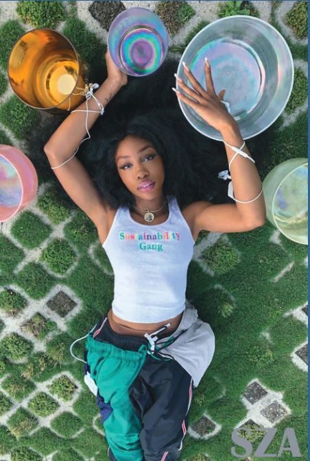 In this vibrant MUS 307 poster, "SZA Laying," a woman with long hair lies on grass and pavers amid colorful glass bowls, wearing a "Sustainability Gang" tank and green pants. "SZA" appears in the corner—a must-have for any music fan.