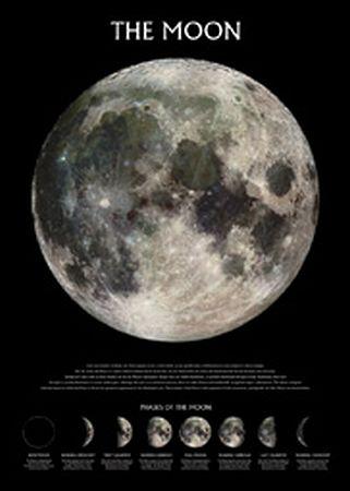 Phases of the Moon Large - Regular Posters