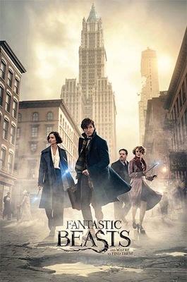 Fantastic Beasts - Streets Large - Regular Posters
