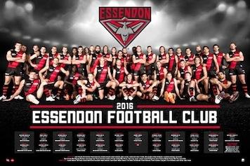 AFL - 2016 Team Posters Essendon Large - Regular Posters