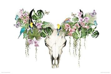 Summer Thornton - Tropical Skull Large - Regular Posters