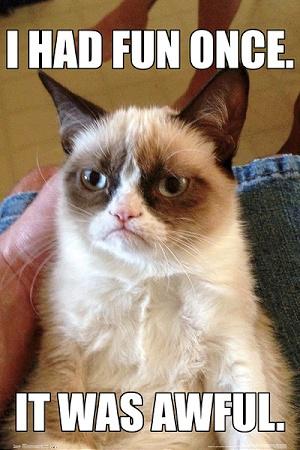 Grumpy Cat Large - Regular Posters