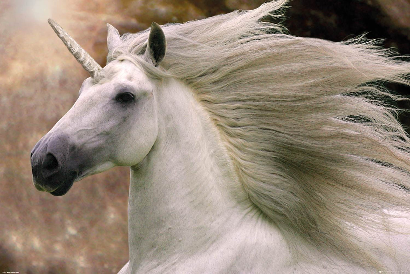 A majestic white unicorn with a flowing mane gallops in front of a blurred natural background. Its long, spiral horn and powerful build create an ethereal, mythical appearance. Perfect for the Life & Humour Collection, this Bob Langrish unicorn piece by ALT 054 adds a dynamic, magical aura to any cute poster lineup.